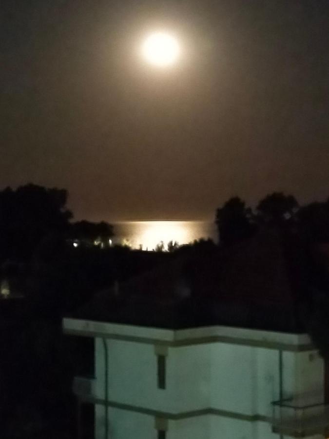 Appartamento Riviera Trilocale Wifi E Parcheggio Privato Ventimiglia Buitenkant foto