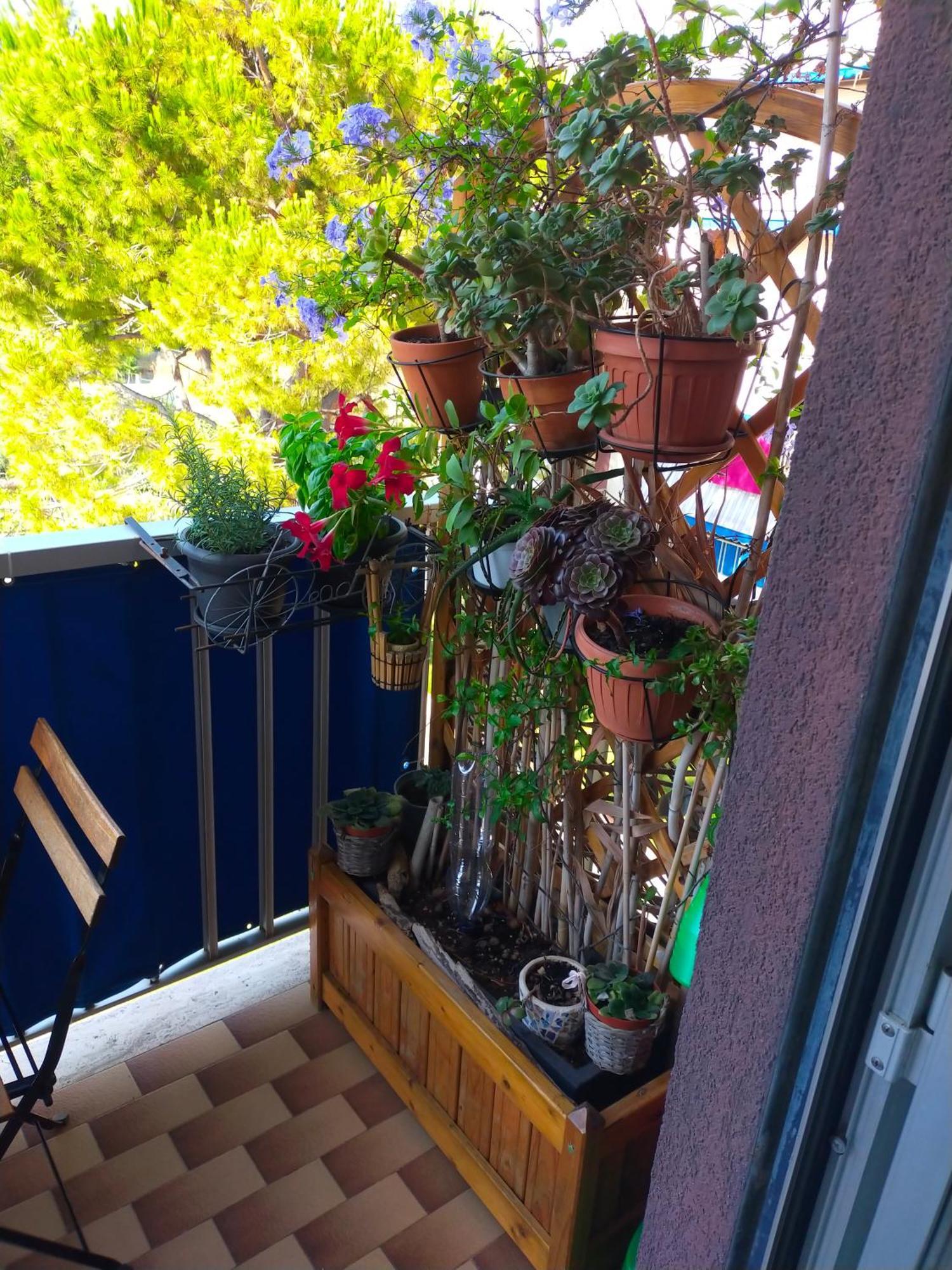 Appartamento Riviera Trilocale Wifi E Parcheggio Privato Ventimiglia Buitenkant foto